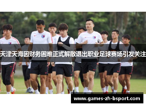 天津天海因财务困难正式解散退出职业足球赛场引发关注